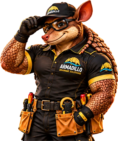 Armadillo tipping his cap